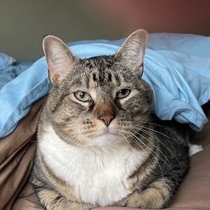 Meet your Posher, Margie